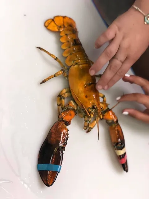 Explore the Ocean World Oceanarium