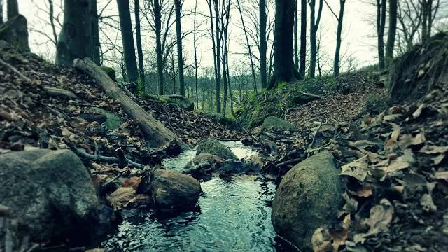 place image