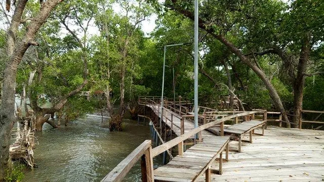 Ekowisata Mangrove