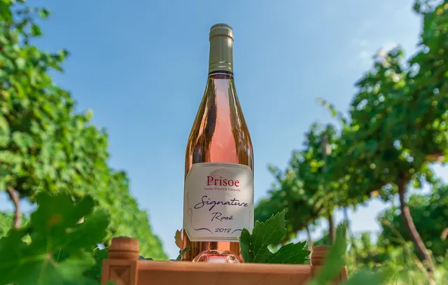 Family Winery & Vineyards "Prisoe" - Winery "Prisoe"