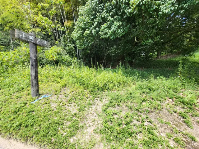 photo-2