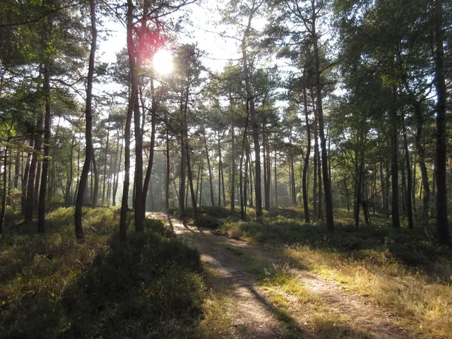 Reeënberg | Natuurmonumenten