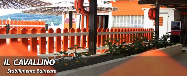 Bagno Il cavallino