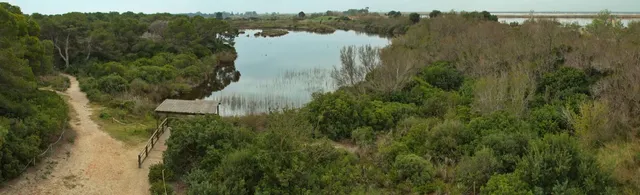 Somdet Phra Srinagarindra Park , Pattani