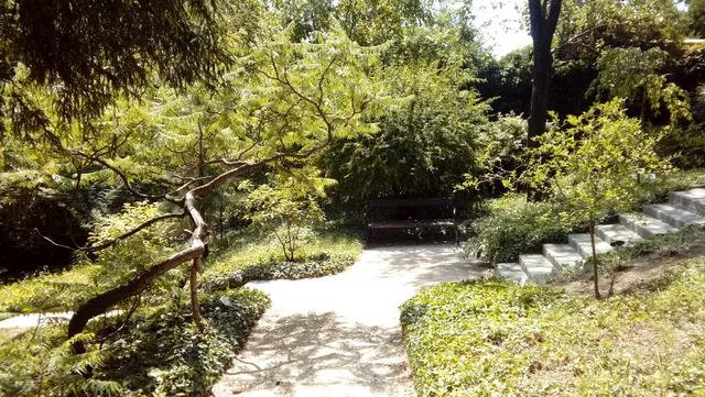 photo-1