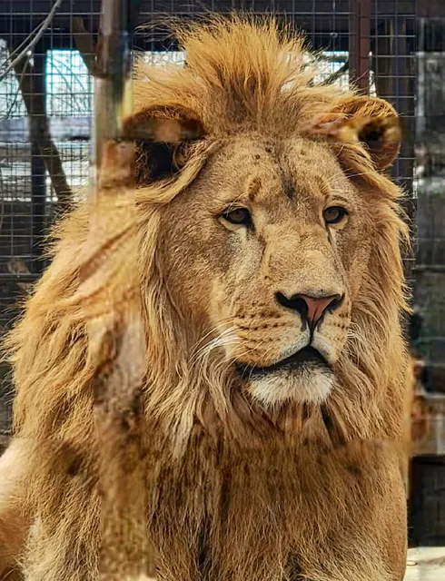 Safari Zoological Park