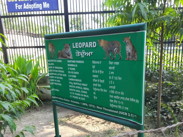 Mini Zoo Cum Deer Safari, Bir Talab