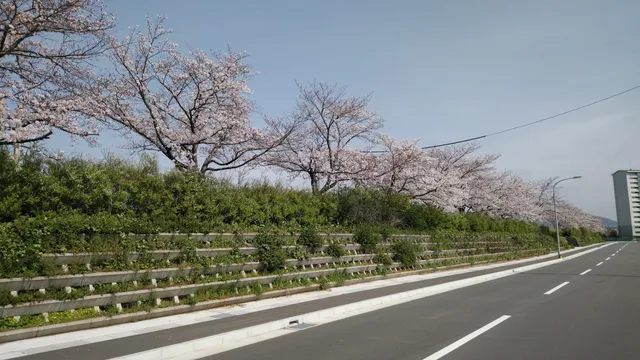Ishikawa Cycle Bridge