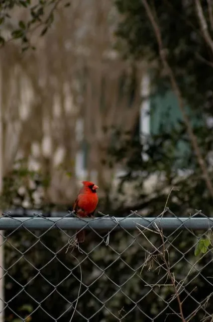 Fundación Zoológico Santacruz