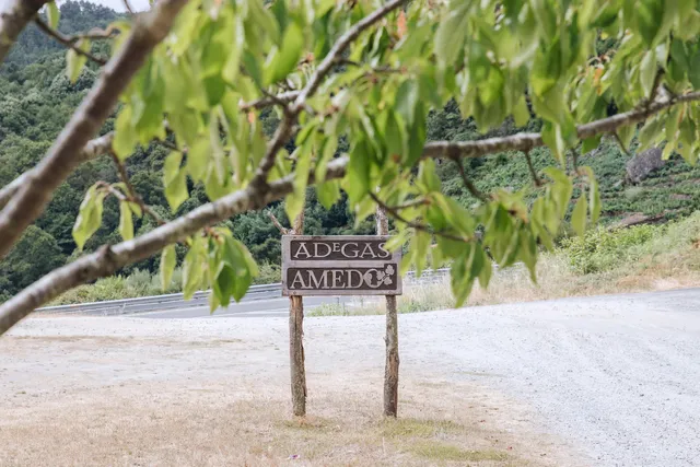 Adegas Amedo( PEPE DO GAIO)