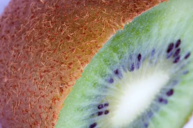 Camp Tomahawk Tube Float and Water Adventure