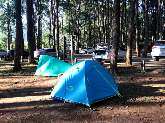 Dong Son Tent Area Doi Inthanon National Park