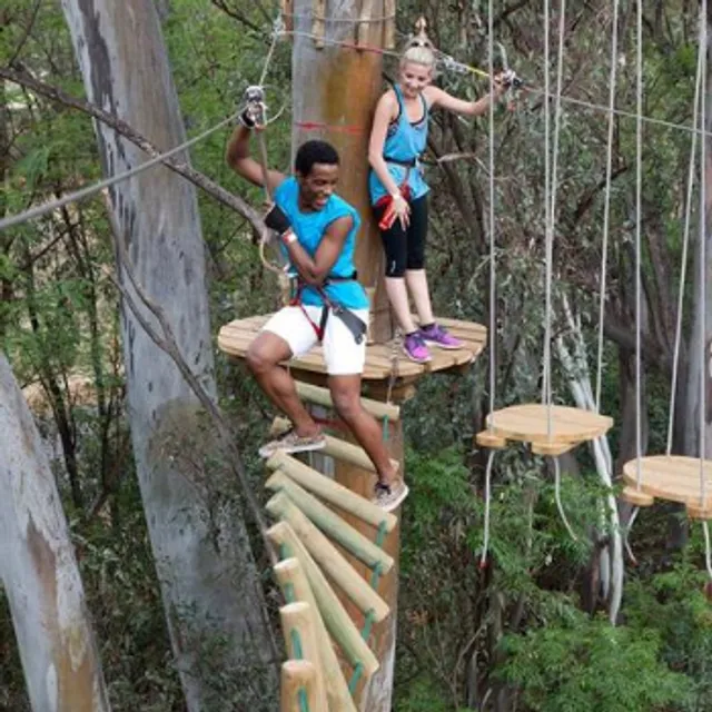 Acrobranch Pretoria North