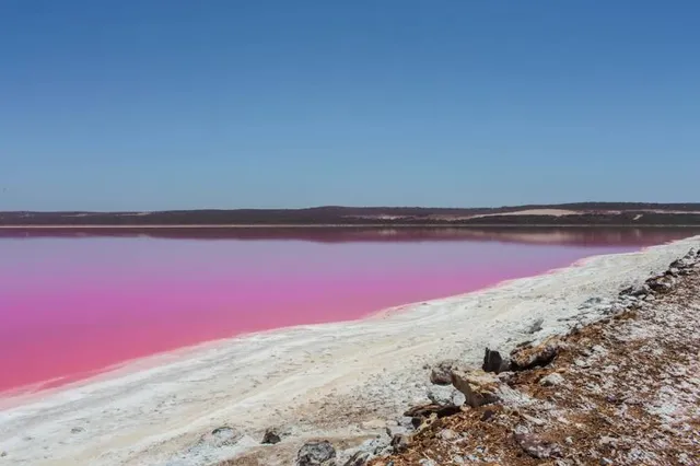 Pink Lake