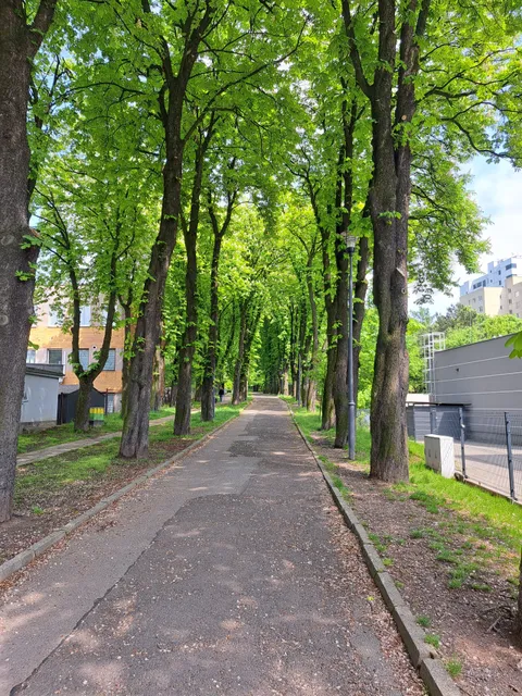 Park Wełnowiecki im. Harcmistrza Ignacego Walentego Nendzy
