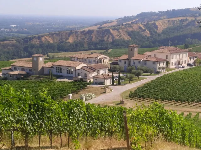 Condé Azienda Vitivinicola