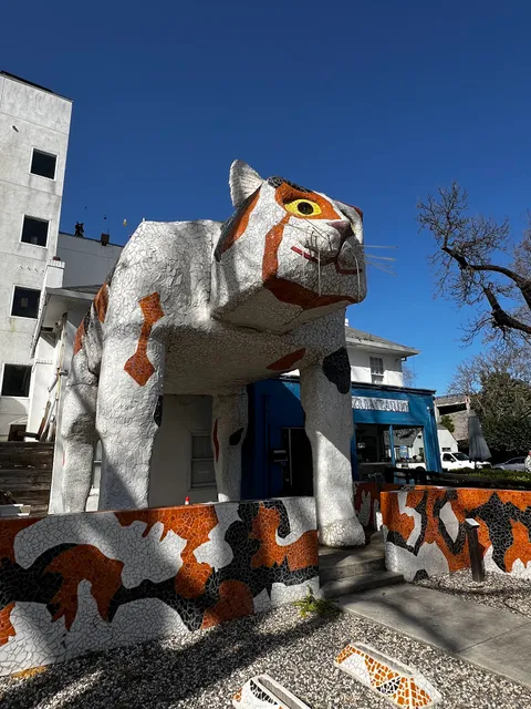 Davis Downtown Business Association