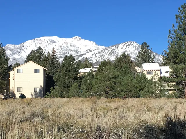 Mammoth Business Essentials