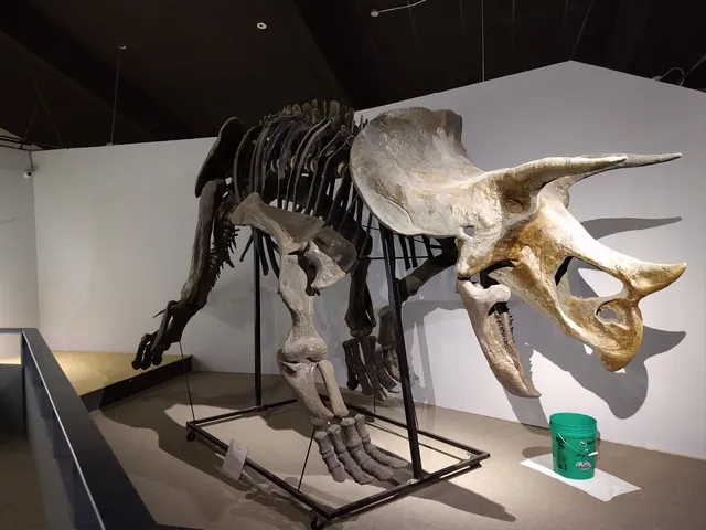 Pioneer Trails Regional Museum