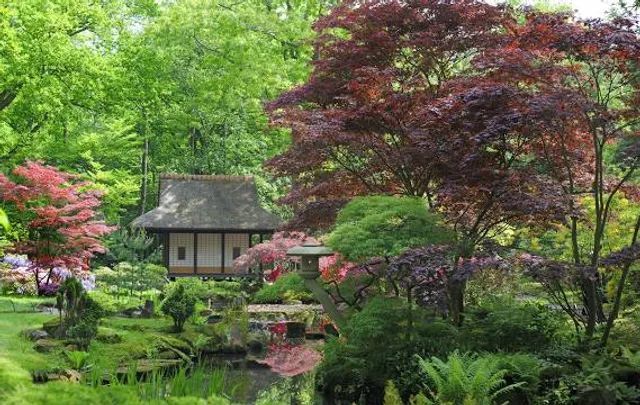 Baltalimanı Japanese Garden