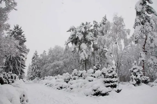 Aussichtsturm "Himmelsglück"