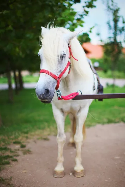 Palacio de Albaicín