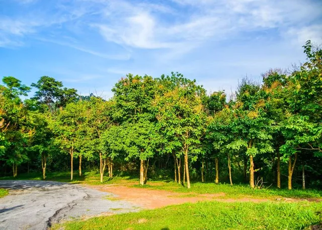 Jedkod- Pongkonsao Natural Study & Eco Center