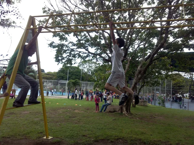 photo-3