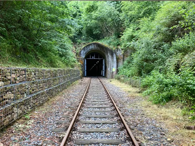 Draisinenbahnhof, Mörlenbach