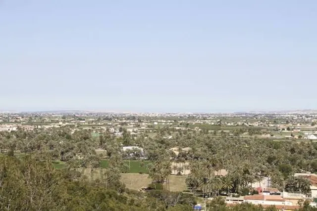 Palmeral de Orihuela