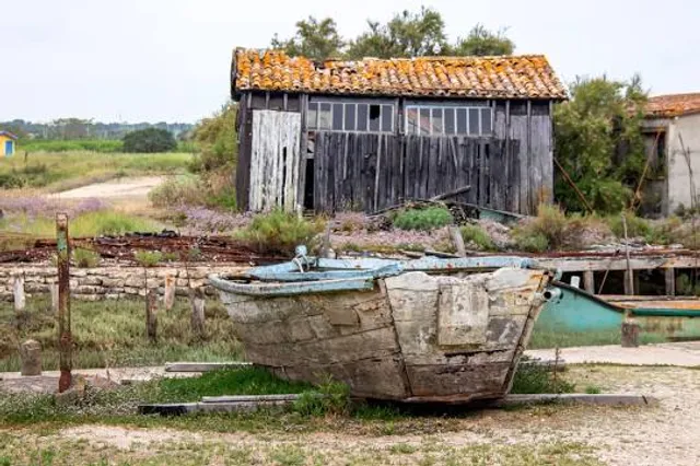 Fort Royer Oyster Site