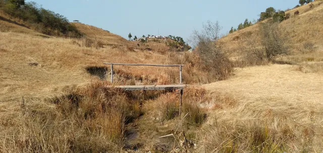 place image