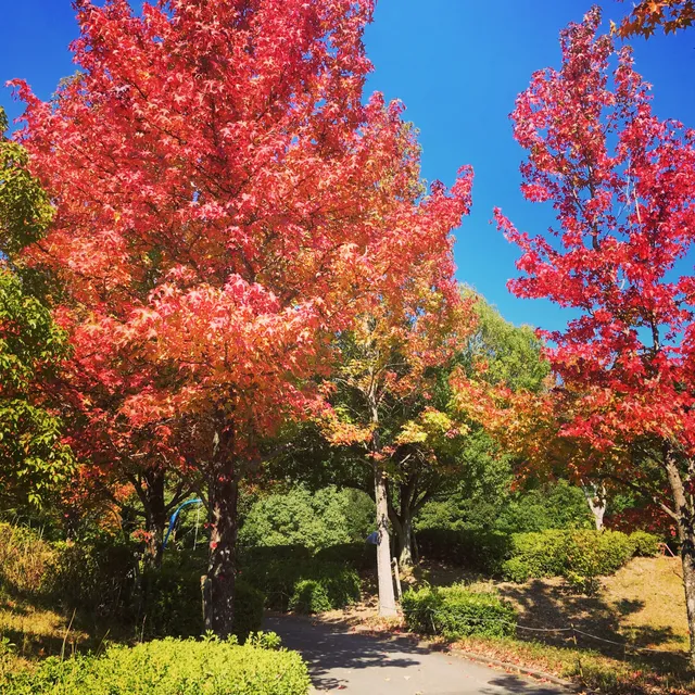 Donarimidorinooka Sports Park