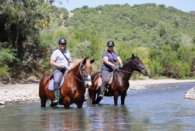 RIDING FUN IN THE SUN