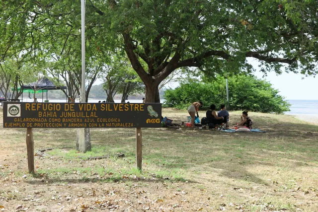Refugio de Vida Silvestre Junquillal