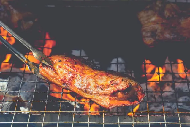 Malabar Wildlife Sanctuary