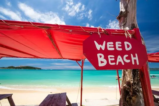 Weed Beach