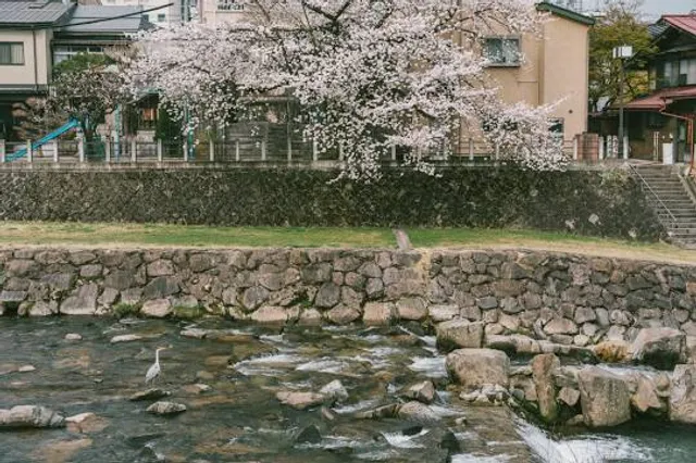 Miyagawa Morning Markets