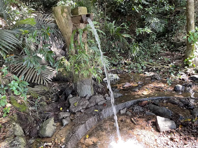 Kanna "Yoriage Woods" Greenery Park