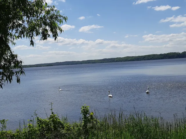 Kapitoniškių pažintinis takas