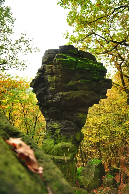 Magnetovec – Skalní hřib