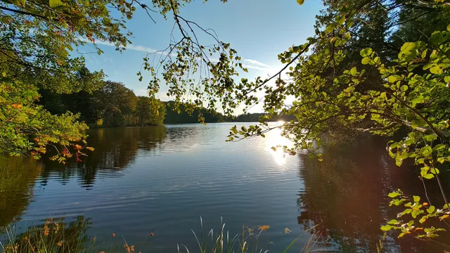 Plateau des Mille Etangs - Echappées des Mille Etangs - 1000 Etangs