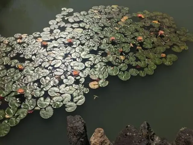 Gemeindeverwaltungsverband Balingen