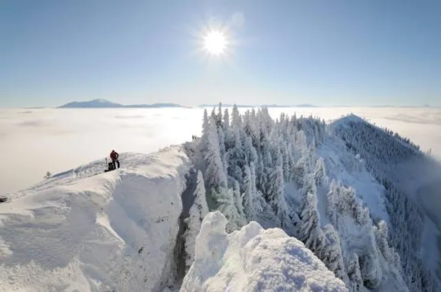 Gemeinde Rohr im Gebirge