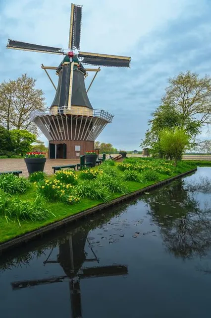 Willem-Alexander paviljoen