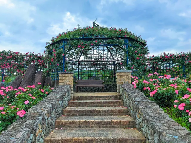 Eco Park Minamata.Rose Garden.