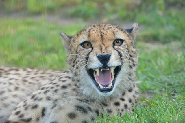 Ústí nad Labem Zoo