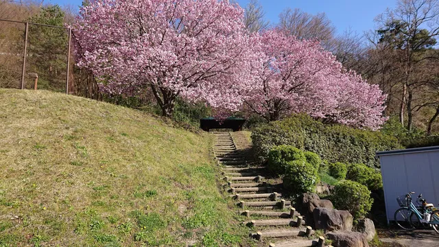 Bingushinosato Park