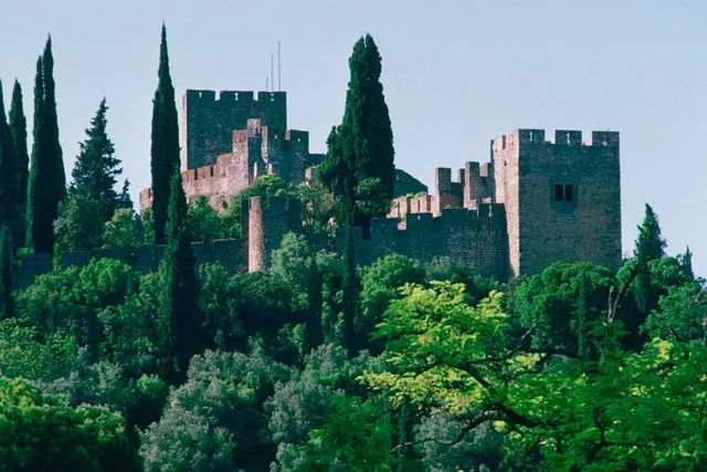 Seven Hills National Forest