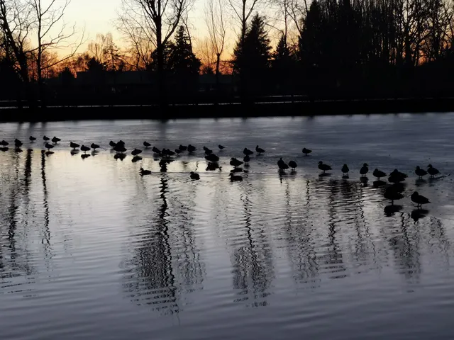 Kamenný mlyn Trnava